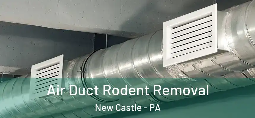  Air Duct Rodent Removal New Castle - PA