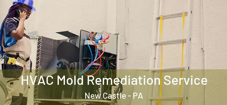  HVAC Mold Remediation Service New Castle - PA