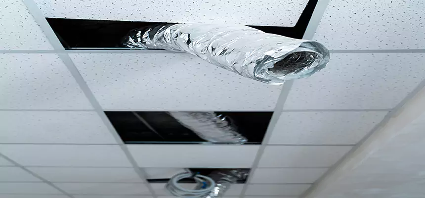 Our Air Duct Pet Hair Removal Services in New Castle, PA