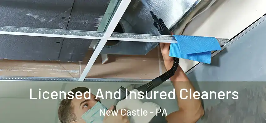  Licensed And Insured Cleaners New Castle - PA