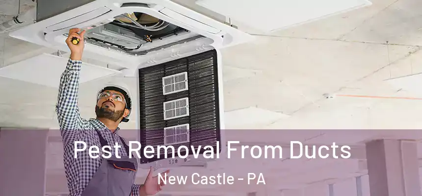  Pest Removal From Ducts New Castle - PA