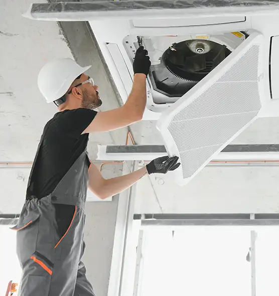 About Air Duct Rodent Removal in New Castle, PA